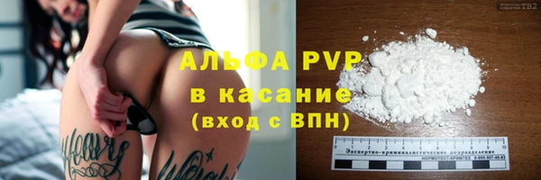 ГАЛЛЮЦИНОГЕННЫЕ ГРИБЫ Абаза