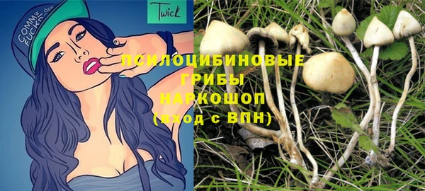 гидропоника Братск