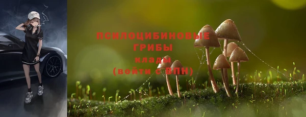 ГАЛЛЮЦИНОГЕННЫЕ ГРИБЫ Абаза