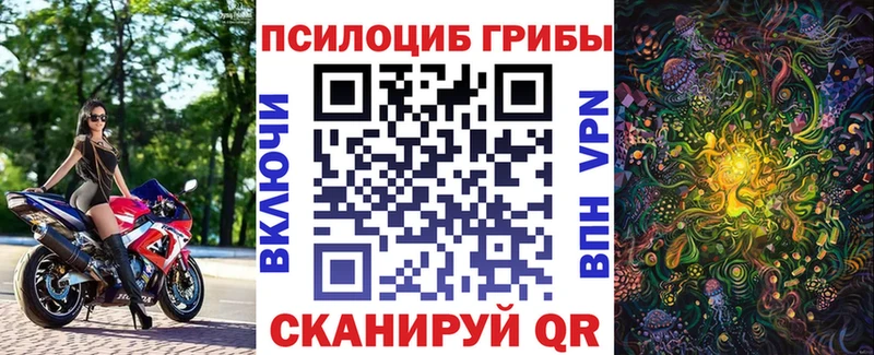 как найти закладки  Алексин  Галлюциногенные грибы мухоморы 